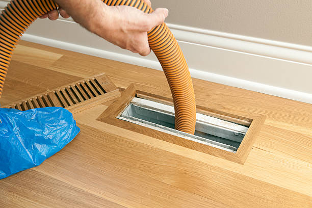 Air Duct Mold Removal in Bell Canyon, CA
