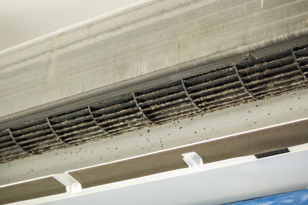 Best Local Air Duct Cleaning Services  in Bell Nyon, CA